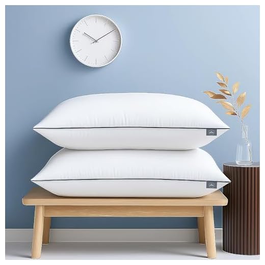 bien LIVING Extra Soft Microfiber Filled Plush Pillow, Down Alternative Hypoallergenic Pillow, 17 x 27 Inches, White (Pack of 2)