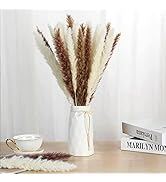Jtoder Natural Dried Pampas Grass Decor Tall - 17.7 Inch Reed Plumes, 30 Pcs Dried Bouquet of Flo...