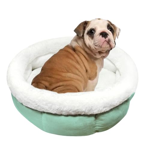 ODIWEN Cucce Rotondo, Letto per cani lavabile, Cuccia per Gatti e Cani da Interno, Lettino per gatti lavabile, Lettino per Animali Domestici a Ciambella, Letto Cane, 60 x 60 x 23 cm(Verde Chiaro)