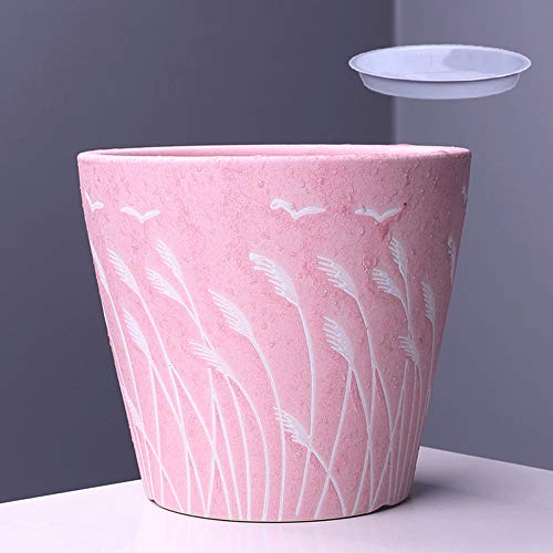 Planteur de Cactus à Fleurs intérieur pot de maison et robinet
