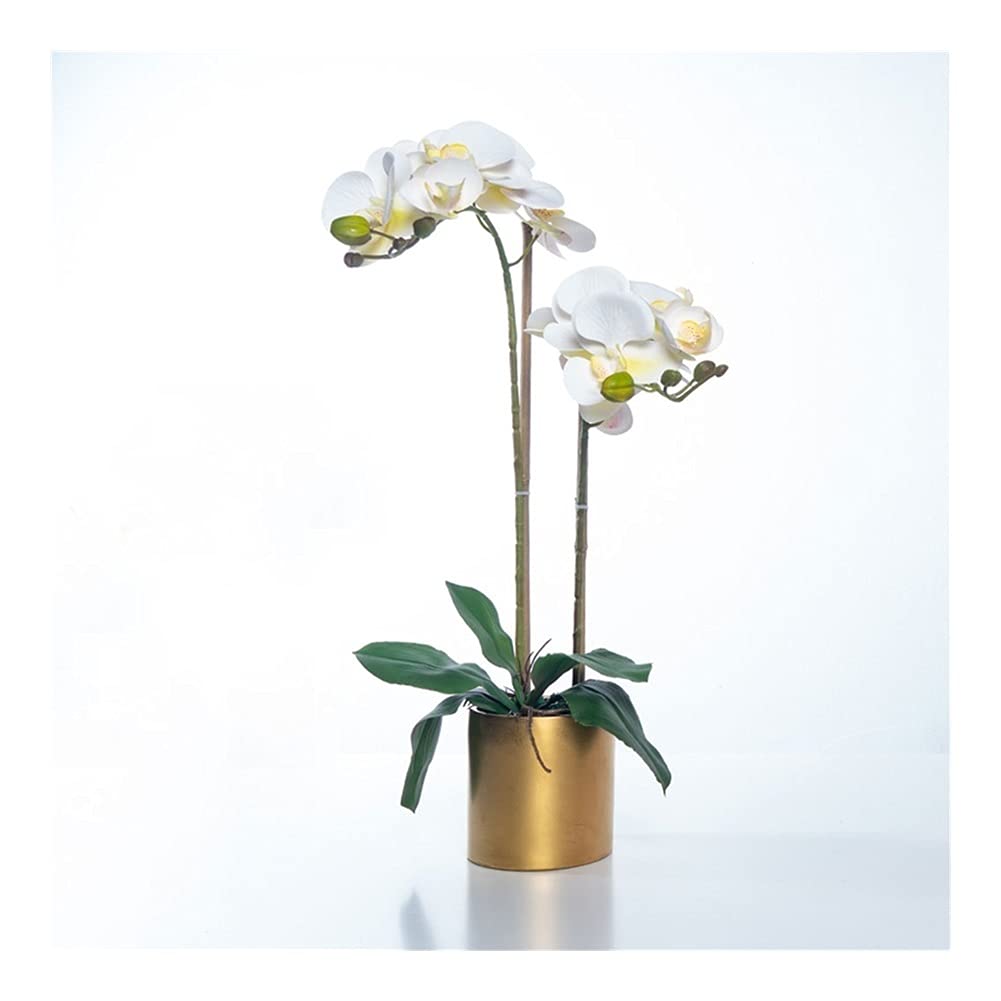 Sbziojhdr G Artificial Flowers, Decor Artificial Flowers With Vase Phalaenopsis Orchid Bonsai Pu Fake With For Home Table Faux Flowersa(G)