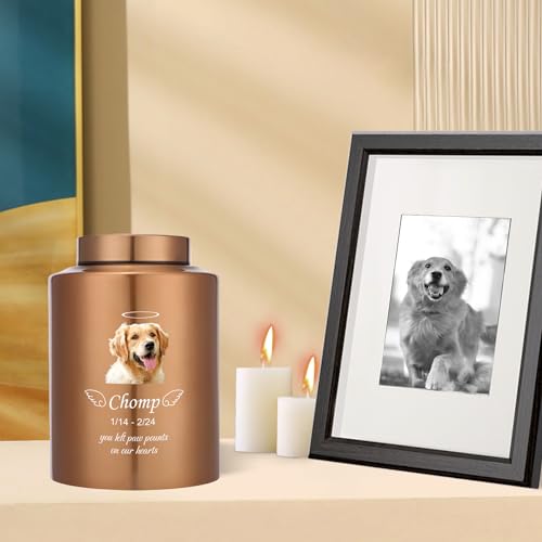 Urnen für Hunde Katzen Asche mit Name und Foto als personalisierte Pet Memorial Andenken Urne für Verlust von Hundekatzen (Engel)