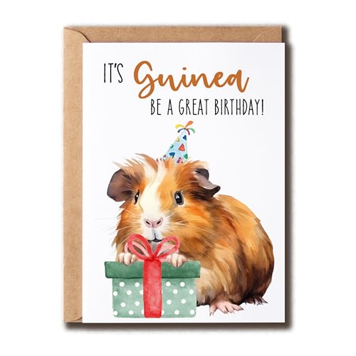 NTGifts Guniea Be A Great o[Xf[J[h - 킢o[Xf[J[h - bg̒atJ[h - 킢J[h - Happy BirthdaypJ[h