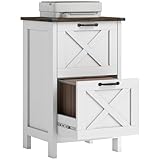 HOMCOM 2 Drawer Vertical File Cabinet with Silent Slides, Rustic Farmhouse Filing Cabinet with Barn Doors for A4/Letter Size, Printer Stand with Storage for Home Office, Distressed White