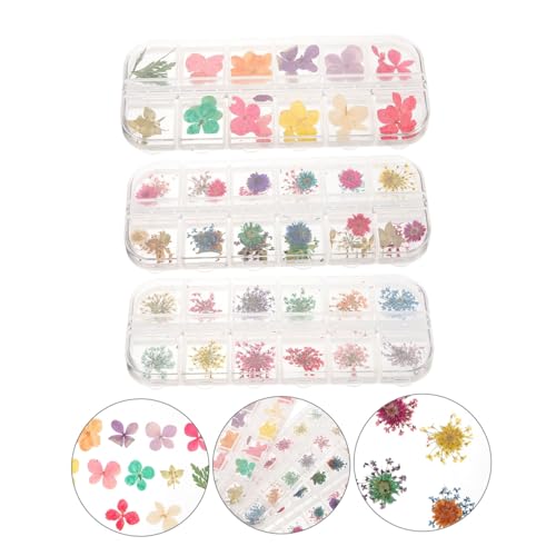 Kit DIY de flores secas para resina y manualidades miniatura 3