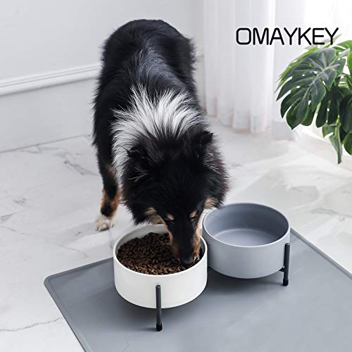 32 oz Ceramic Dog Cat Bowl Set of 2 with Elevated Metal Stand, 6 Inch Ceramic Round Pet Food and Water Feeder Bowl Dish… - Image 6