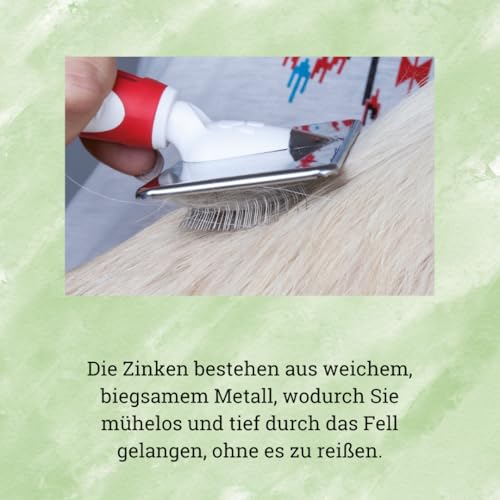 EHASO Softzupfbürste für Hunde in verschiedenen Größen (Medium, Feld 10,7 x 4,8cm, Länge 18cm)