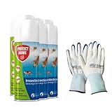 Protect Home - Insecticida Descarga Total, automático, antiguo Solfac, 150mililitros. Pack 6 unidades + Guantes