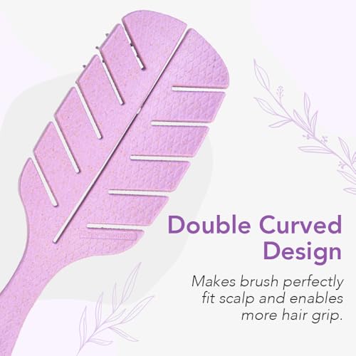 Jovica-Detangling-Hair-Brush-for-Women-Men-and-Children--Straight-Curly-Wet-and-Dry-Hair--Leaf-Shape-Purple