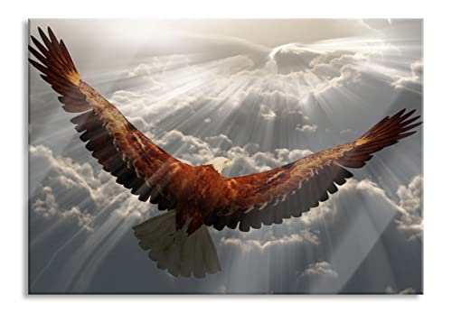 Pixxprint Quadro in vetro | Quadro da parete in vero vetro | Aquila sopra le nuvole | 60 x 40 cm | con sospensione e distanziatore