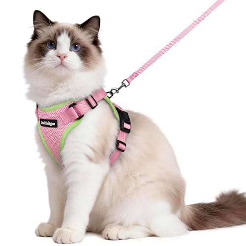 Image of rabbitgoo Cat Harness and Leash Set, Escape Proof Vest, Pink & Light Green | Soft Breathable Mesh, Easy Adjustable Fit, Snap Buckles, Sturdy Clip, Reflective Strips, for Medium to Large Cats Walks, M