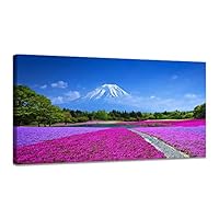 Amazon.co.jp: 富士山 アートパネル 山 太陽 自然 絵画 風景画