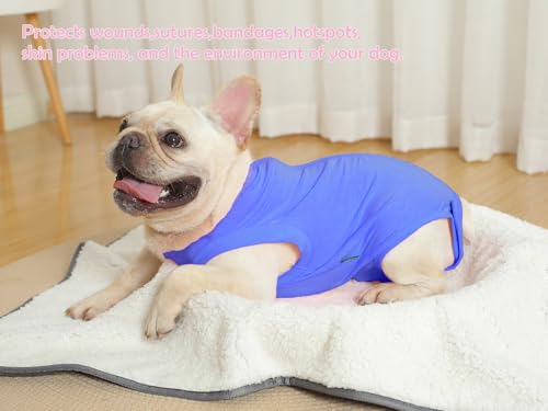 Image of Dog Surgery Recovery Suit - After Spay, Abdominal Wounds Post Surgical Recovery, Anti Licking Breathable Dog Onesies for Small, Medium & Large Pet, Alternative Bandages Cone E-Collar