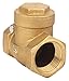 Swing Check Valve, Brass, 1 In., FNPT