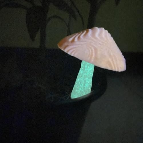 Filamento PLA rojo 1,75 mm brilla en la oscuridad 1 kg - Fernando Cortés