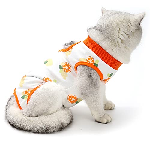 PAIDEFUL Cat After Surgery Dog Recovery Body Suit for Abdominal Wounds or Skin Diseases Cotton Breathable Surgical Recovery Suit for Cats E-Collar Alternative Anti Licking Wounds