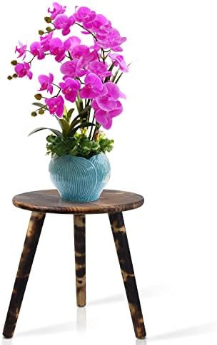 Plant Table for Indoor-Tall Plant Stand,Planter Stand for Indoor Plants,12 inches Small Round Side Table,Mid Century Plant Stand and Tall Plant Holder for Flower Pots(Natural Carbonized Wood Brown)