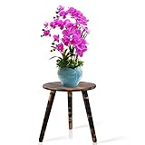 Plant Table for Indoor-Tall Plant Stand,Planter Stand for Indoor Plants,12 inches Small Round Side T