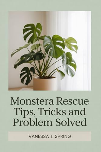 Monstera Rescue: Tips, Tricks and Problem Solved
