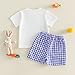Toddler Baby Easter Clothing Set Fashionable Cute Short Sleeve Bunny Embroidery Tops with Plaid Shorts 2Pcs Outfit (Blue, 2-3 Years)
