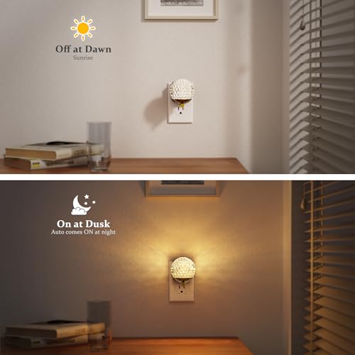 Image of JandCase LED Night Light, 3000K Warm White & RGB Color Changing Night Lights Plug into Wall, Dusk to Dawn Light Sensor, 180 Rotatable Plug in Nightlights for Bathroom, Bedroom, Hallway