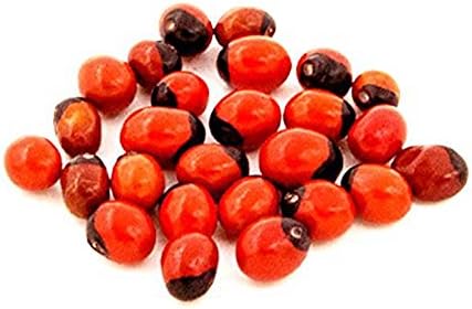 Ankita Gemstones Set of 100 pcs Chirmi Seeds Vaastu Elements NATURAL RAKT LAL GUNJA