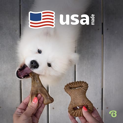 Image of Benebone Tiny 2-Pack Dog Chew Toys, Made in USA, Real Bacon Flavor