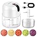EASYSPEED Electric Garlic Chopper 1Cup, Mini USB Charging Wireless Food Processor with 304 Stainless Steel, 3 Sharp Blades, Portable Kitchen Meat Grinder for Onion, Garlic, Ginger, Chili