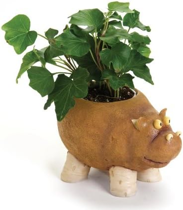 Home Grown Potato Hippo Planter