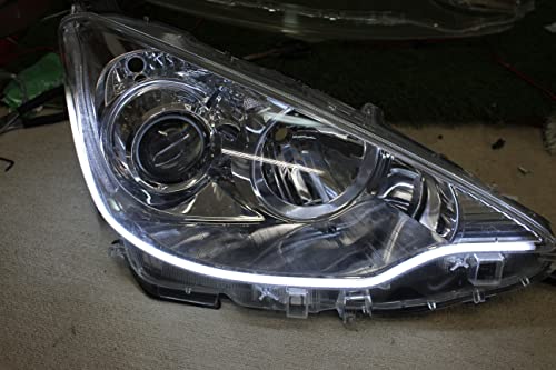 ANA ^V[PVECJ[ NHP 10n ߋōɔł O   ACC ECJ[ fCCg