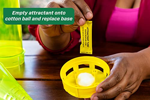RESCUE! Armadilhas de jaqueta amarela reutilizáveis Yellowjacket Attractant – Fornecimento para 4 se