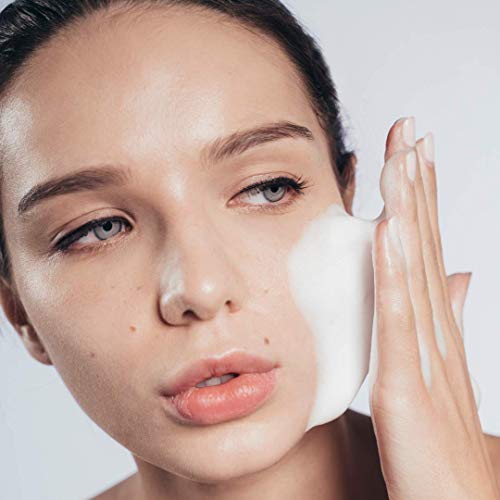 Snow Fox Cooling Foam Cleanser With Aloe Vera, Peppermint Oil And Citric Acid, 150Ml Plant Based Cleanser, Non-Sls And Moisturizing Cleansing Foam #TOP2