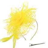 Material: Dieser Vintage Glamour und schicker charmanter Hut mit seinem Vogelkäfig-Schleier und flauschiger Menge von Boa-Federn, die auf der Rückseite mit Gänse-Biot-Federn kaskadieren, die Ovale bilden und die im Wind schwingen. Trendiger Stil passt zu allem. Eine Grösse passt allen.