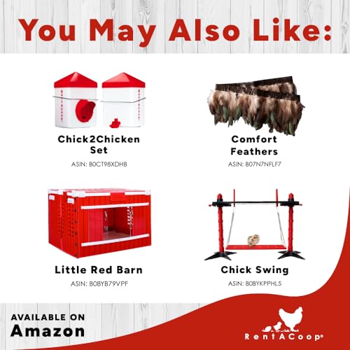 RentACoop 10x10 Inch Adjustable Heating Plate with Bonus Foldable Anti-Roost Cone for up to 15 Chicks | Small Chick Brooder Heat Plate – Energy-Efficient and Safer Than Heat Lamps