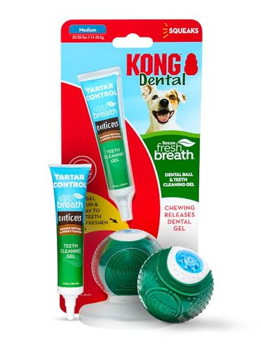 TropiClean Fresh Breath - Kong Dental Ball for Medium Dogs - Dog Teeth Cleaning Kit - Removes Plaque - Peanut Butter & Honey Dog Toothpaste, 1oz
