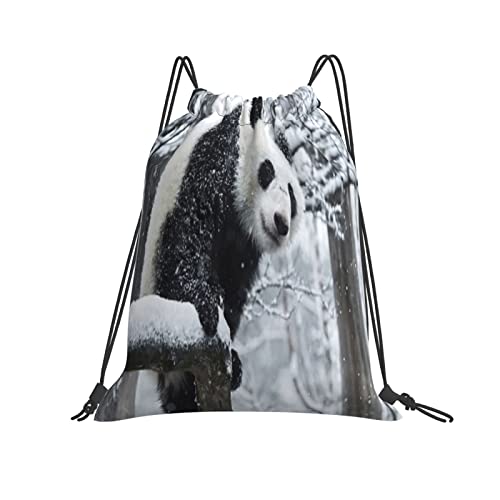 ~̃p_  킢  ВobNpbN r[ibvTbN [֗ s oR j h[XgOobNpbN AEghA В jpe y h