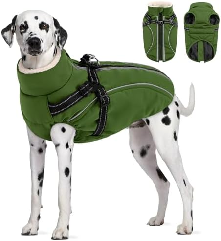 CITÉTOILE Wasserdichter Winter Hundemantel mit Geschirr Fleece Grün XL | Warme Hundejacke mit Reißverschluss, Wintermantel mit Reflektorstreifen für kleine Mittel Große Hunde, mit
