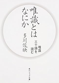 唯識とはなにか 唯識三十頌を読む (角川ソフィア文庫)