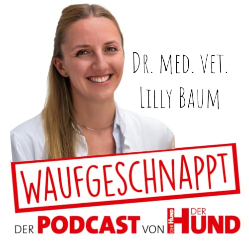 Bl&auml;hungen bei Hunden - Dr. med. vet. Lilly Baum