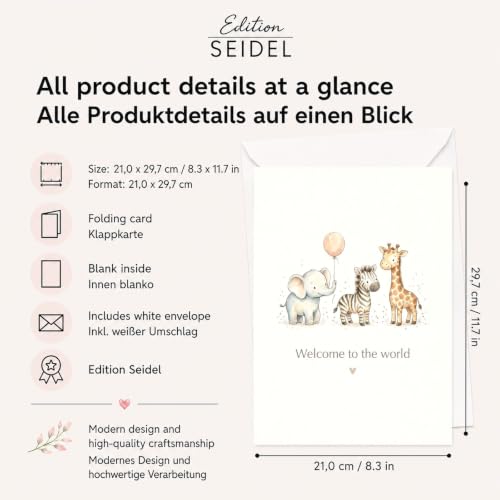 Edition Seidel Premium XXL carte de naissance avec enveloppe. Carte de vœux format DIN A4 avec texte en anglais pour Bébé garçon Unisexes-Bébés (36190 E1011) – vue 4