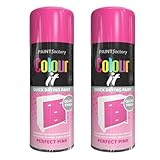 PNJB Perfect Pink All-Purpose Aerosol Spray Gloss, Multipurpose, Interior/Exterior, Gloss Finish, Quick Drying, Indoor and Outdoor,250ml, (2PCS)