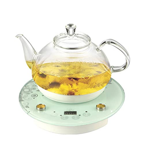 Bouilloire électrique en verre 0.8L 1000W avec écran tactile intelligent FANDIAO