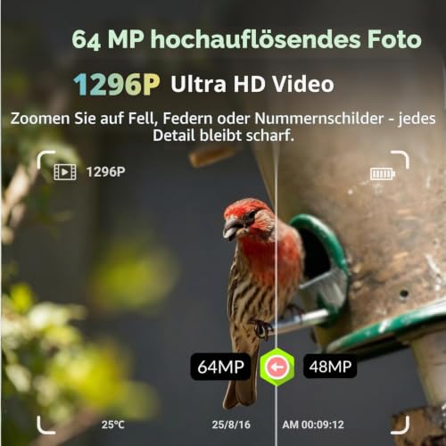 BlazeVideo 64MP Wildkamera Nachtsichtkamera Wildtier Kamera mit 1296P H.264 MPV Video...