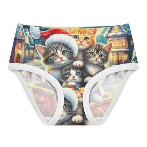 Cute Kittens Red Sleigh Toddler Underwear Floral 2t Cotton Panties Little Girl Pattern Undies Kids Briefs