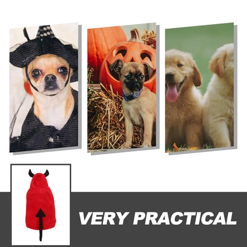 Disfraz de Diablo para Perros Halloween Talla S miniatura 7