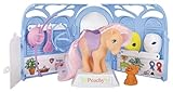 Questa scatola contiene cappelli, un cestino, una flangia e una spazzola, tutto il necessario per fare di Peachy il più bello dei pony!