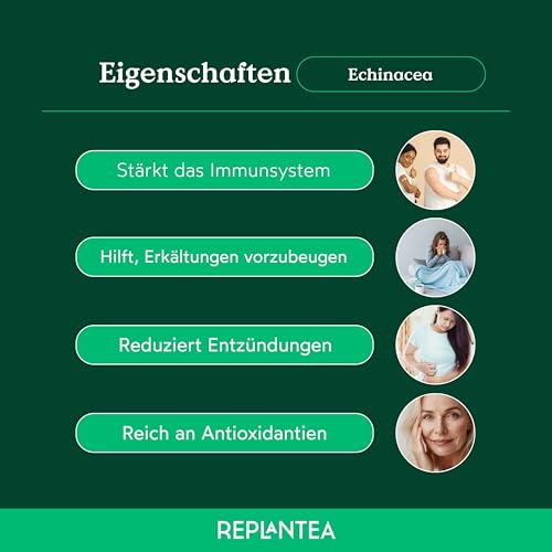 BIO Echinacea Tee 100g (Sonnenhut Tee) | Natürliche Unterstützung für das Immunsystem | Kräutertee lose zur Stärkung der Abwehrkräfte | REPLANTEA