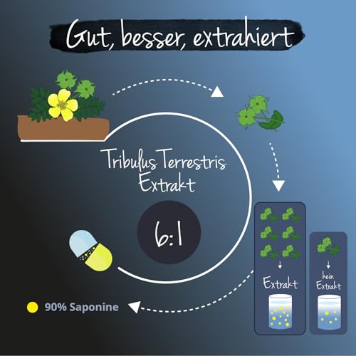 Tribulus Terrestris 1800 Vegavero SPORT | 90% Steroid-Saponine | Ohne Gelatine | Kraftsport & Bodybuilding | Laborgeprüft | Keine Zusatzstoffe | 120 Kapseln