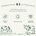 Premium European Toddler Nutritional Milk Drink Powder | Made in France, Grass-Fed Milk | DHA, Iron & Protein | Non-GMO | Great for Smoothies & Picky Eaters | 1 Year and Older - 28.2 Oz