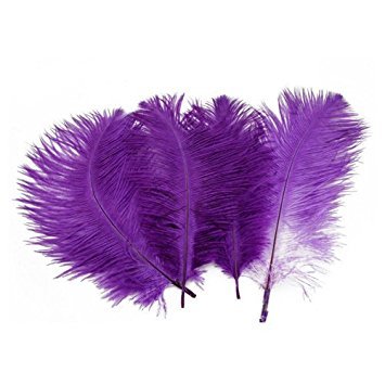 SODIAL(R) 10 pz piume di struzzo viola arredamento...
